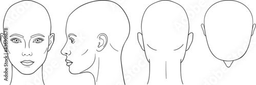 Female head vector illustration in front, back, top, side view