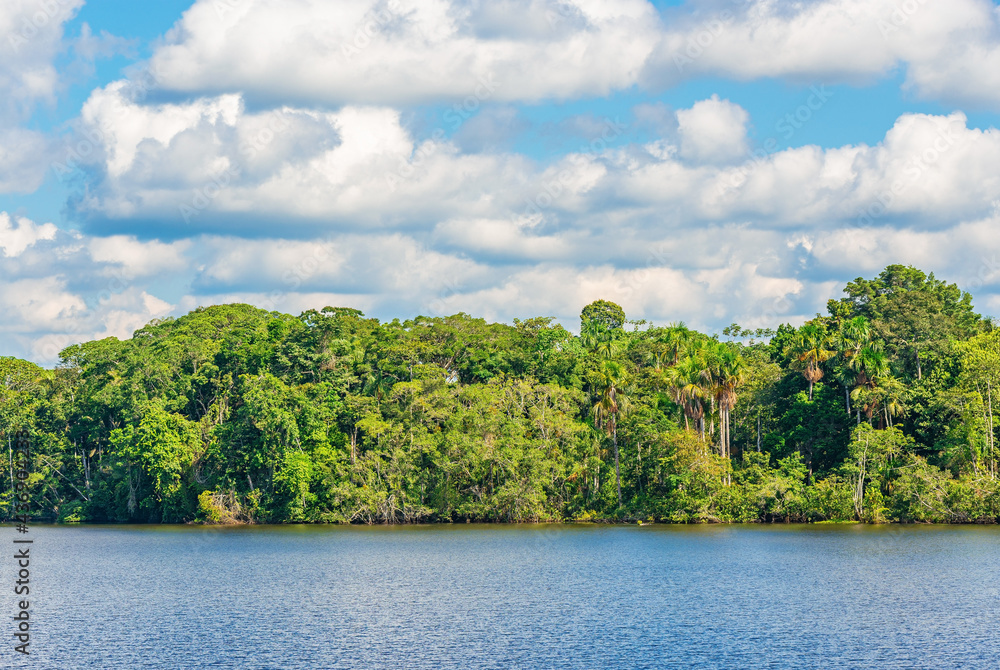 Amazon tropical rainforest in summer. Amazon river basin located in Brazil, Bolivia, Colombia, Ecuador, (French) Guyana, Suriname, Peru and Venezuela.