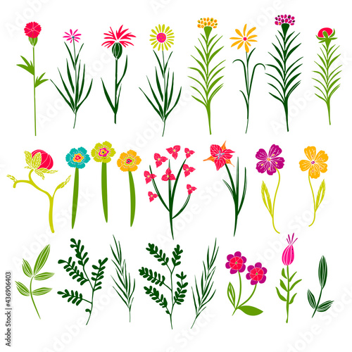 Different flowers set. Hand drawn flowers and leaves. Isolated on white. Vector illustration.
