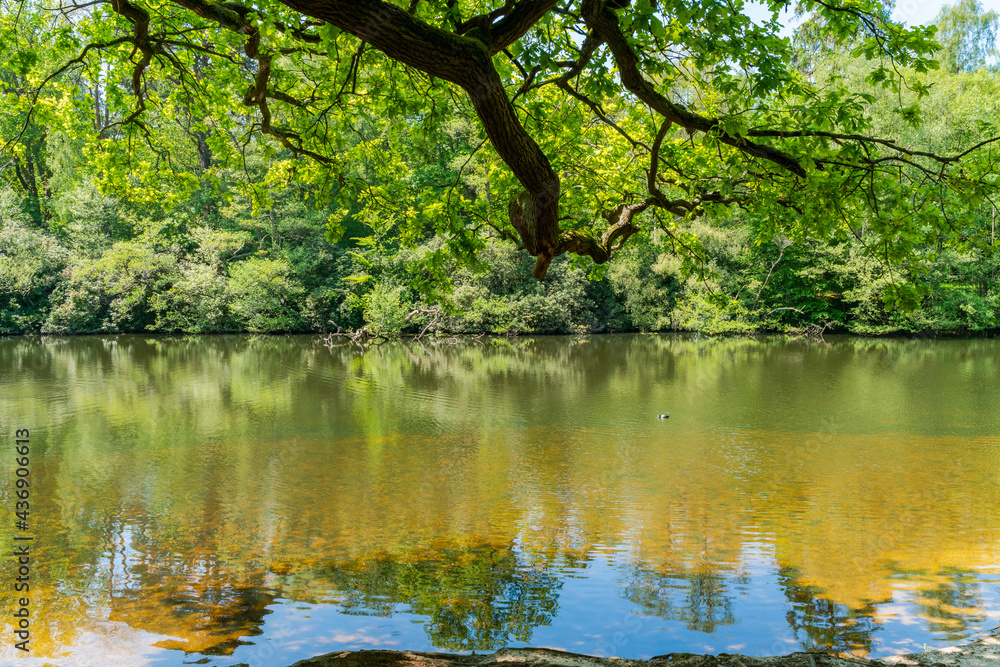 Virginia Water lake