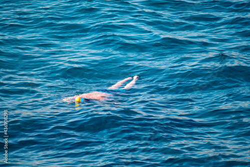 snorkeling concept. man exploring blue sea while snorkeling in summer day. snorkeling Swimming Summer Vacation Concept
