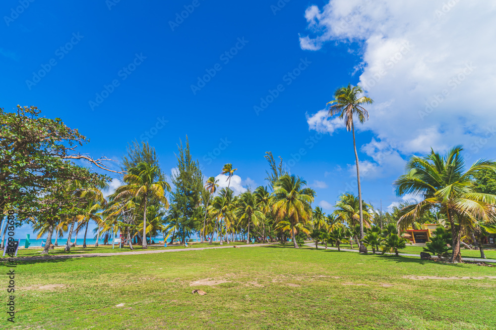 Green grass and Palm trees line the edge of Luquillo Beach park, Puerto Rico