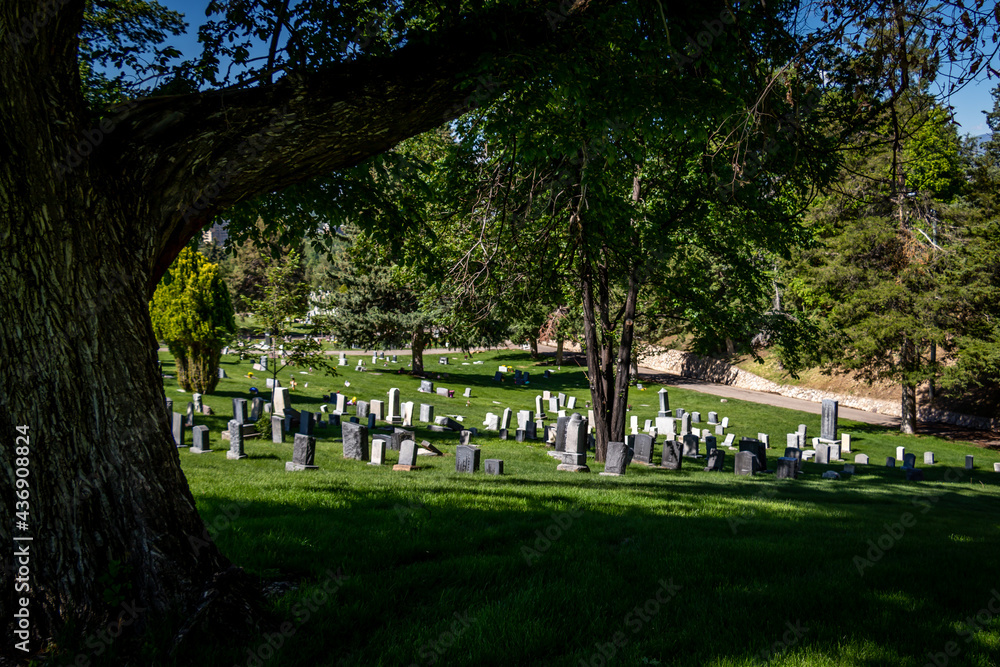 Headstones at a Cemetery With a Large Tree in the Foreground