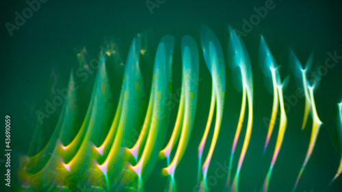 Abstract photo in green, yellow, magenta, pink, blue tones and dark background. 