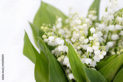 Bunch of fresh lily of the valley flowers on white background close up