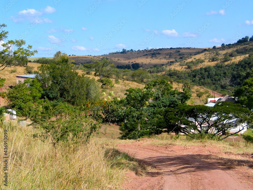 Hills and trees in summer, KwaZulu-Natal, South Africa