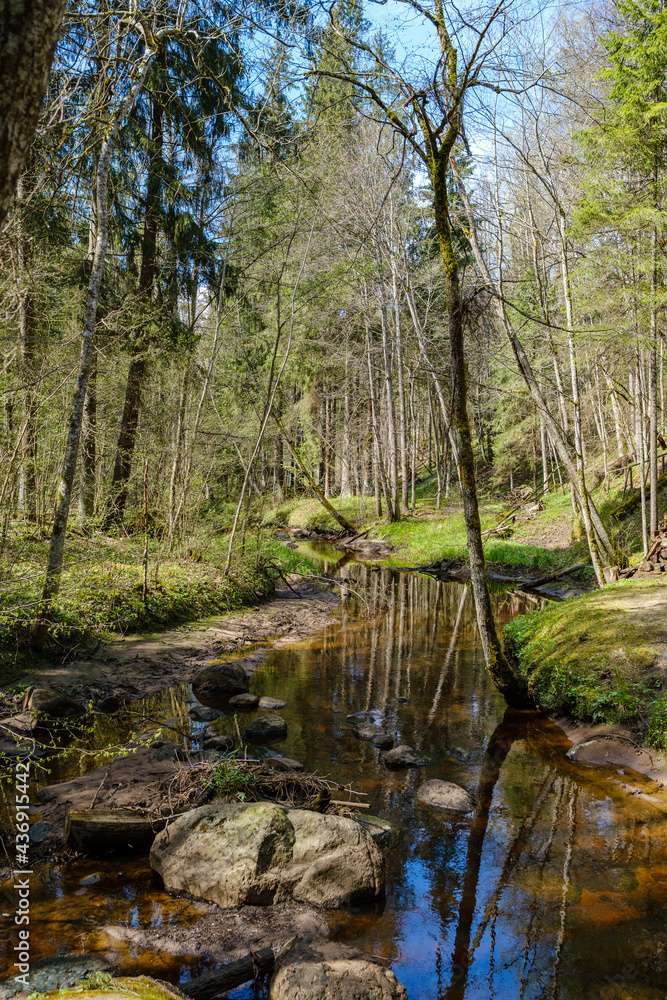 calm forest smal lriver with small waterfall from natural rocks calm forest smal lriver with small waterfall from natural rocks