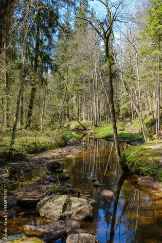 calm forest smal lriver with small waterfall from natural rocks