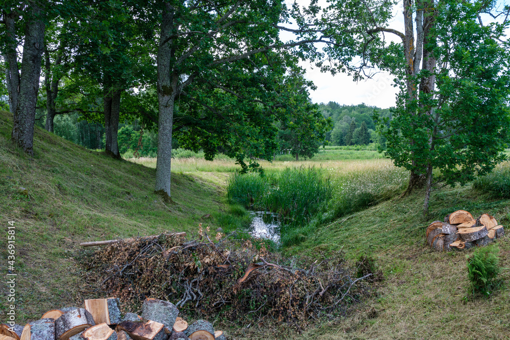 ruins of old stone castle