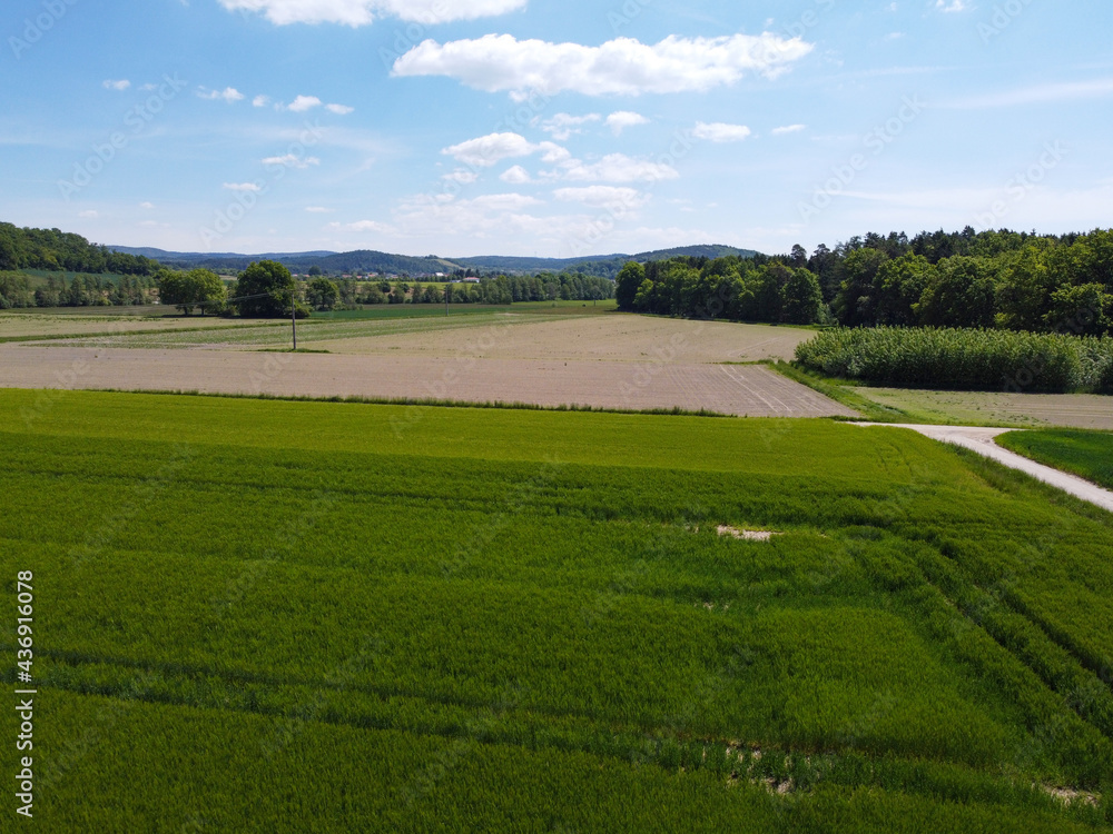 Aerial view of an agricultural field with grain planted in spring in Bavaria Aerial view of an agricultural field with grain planted in spring in Bavaria