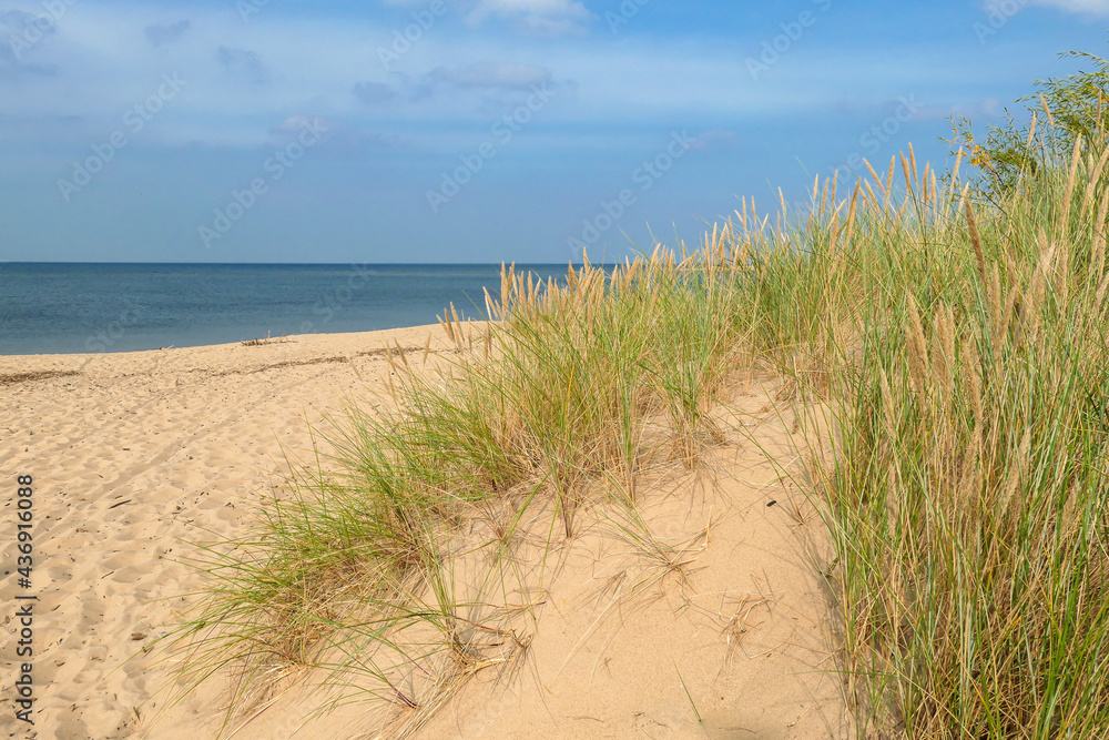 A panoramic view on the sandy beach by Baltic Sea on Sobieszewo island, Poland. The beach is scarcely overgrown with high grass. The sea is gently waving. A bit of overcast. Serenity and calmness A panoramic view on the sandy beach by Baltic Sea on Sobieszewo island, Poland. The beach is scarcely overgrown with high grass. The sea is gently waving. A bit of overcast. Serenity and calmness