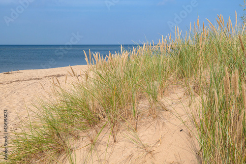 A panoramic view on the sandy beach by Baltic Sea on Sobieszewo island  Poland. The beach is scarcely overgrown with high grass. The sea is gently waving. A bit of overcast. Serenity and calmness
