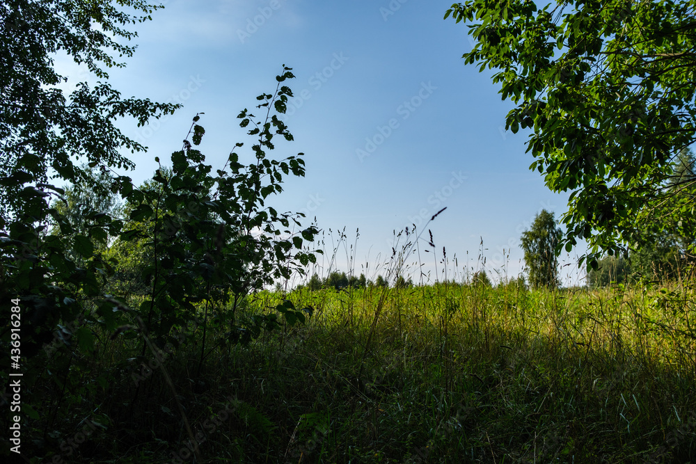 summer countryside fields and forests with blu sky above summer countryside fields and forests with blu sky above