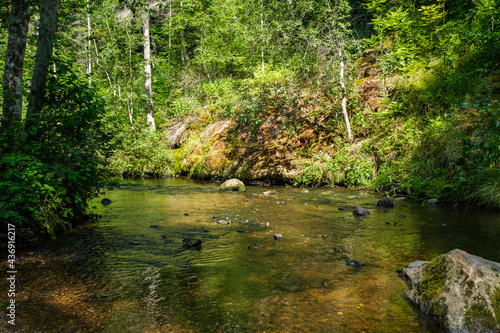 Fototapeta Naklejka Na Ścianę i Meble -  calm forest smal lriver with small waterfall from natural rocks