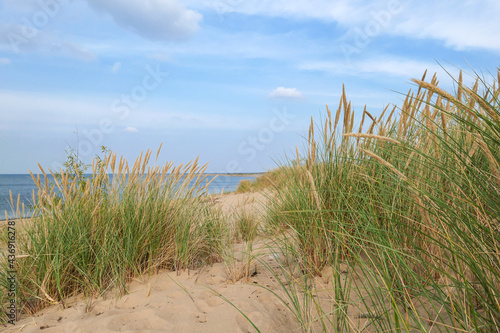 A panoramic view on the sandy beach by Baltic Sea on Sobieszewo island, Poland. The beach is scarcely overgrown with high grass. The sea is gently waving. A bit of overcast. Serenity and calmness
