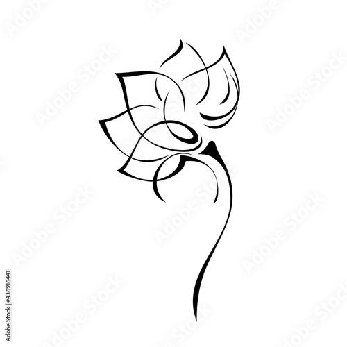 ornament 1793. one stylized blooming flower on a short stalk without leaves in black lines on a white background