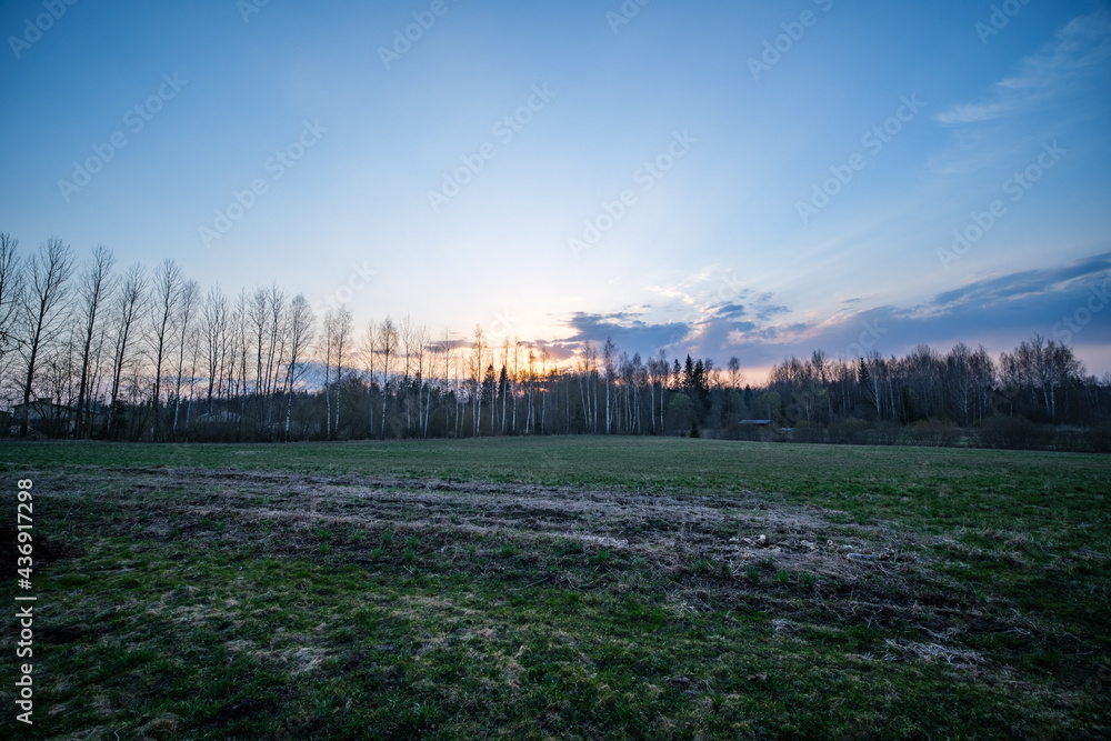 Fototapeta premium summer countryside fields and forests with blu sky above