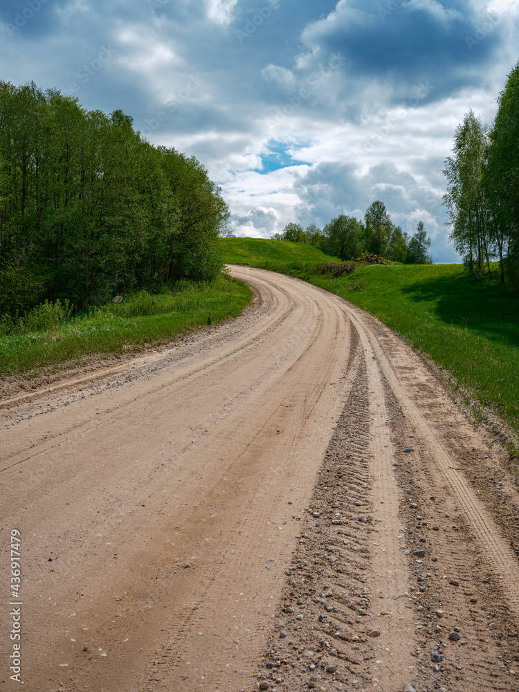 Naklejka premium dusty gravel road in summer green fresh wet forest