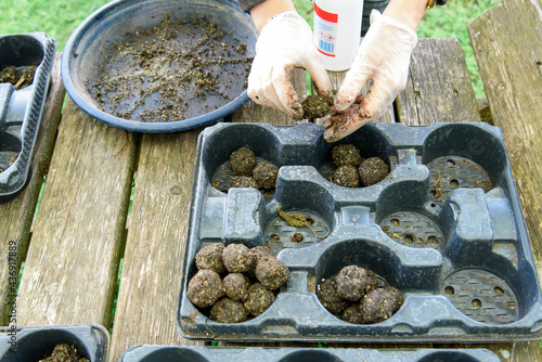 Seedbombs machen urbangardening