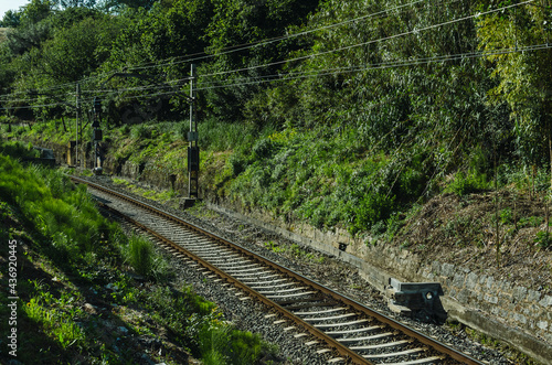 railway tracks in empty station