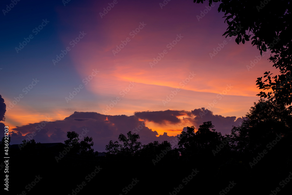 Sunset against dark silhouette tree. Image soft focus.