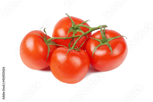 Tomatoes on a branch, isolated on a white background