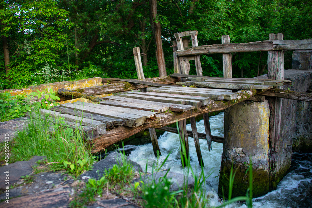Old vintage wooden bridge in green forest