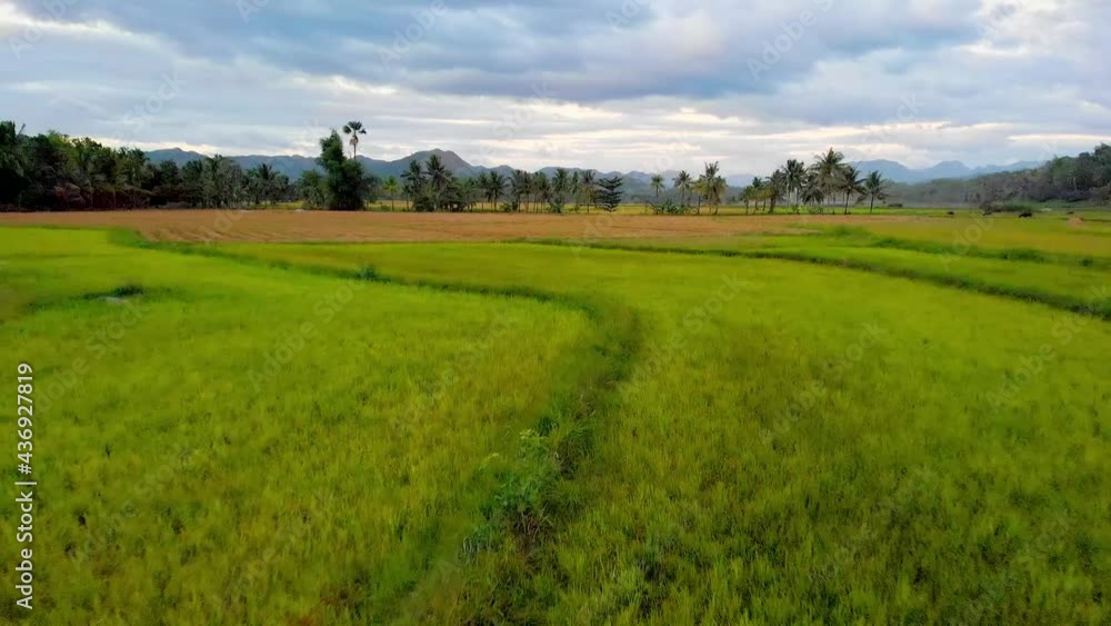 Aerial, cloudy sundown over green rice arable land in the Philippines Aerial, cloudy sundown over green rice arable land in the Philippines