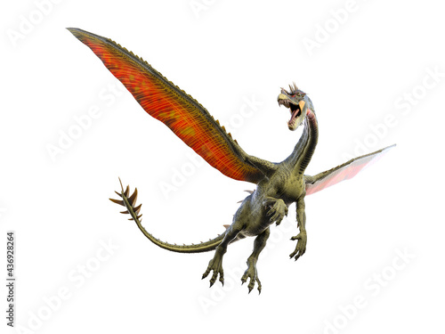 snouted dragon flying