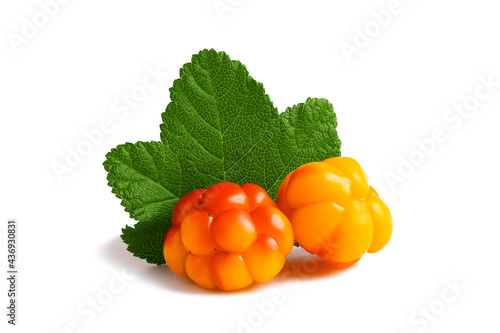 Two cloudberries with a leaf isolated on a white background with clipping path with and without shadow