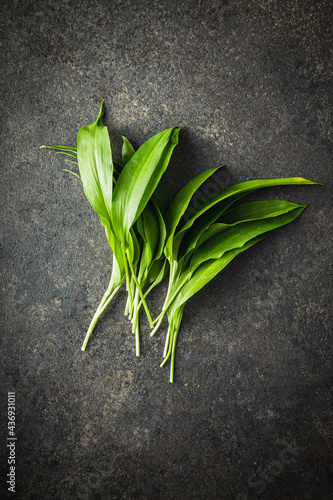 Green ramsons leaves. Wild garlic.