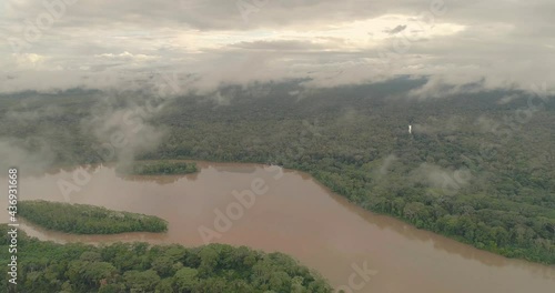 Parque nacional Yasuní, Orellana Ecuador photo