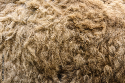 Canvastavla natural yak wool close-up texture