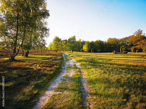 Lüneburger Heide Landschaft mit Wanderweg