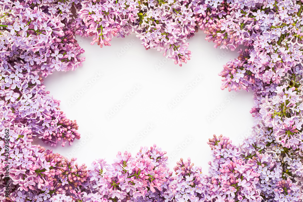 The frame of lilacs flowers on a white background. Top view, copy space.