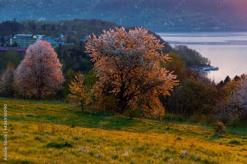 Fototapeta premium The April sunrise over Lake Solina seen from the viewpoint in Polańczyk. Polańczyk, Bieszczady