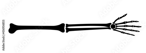 Arm bones poster