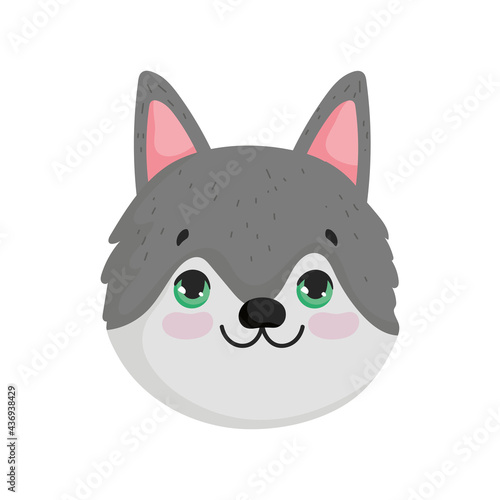 gray dog face