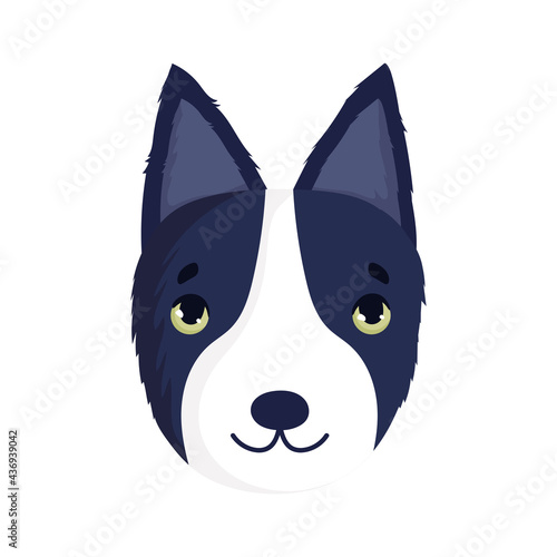 bull terrier dog face