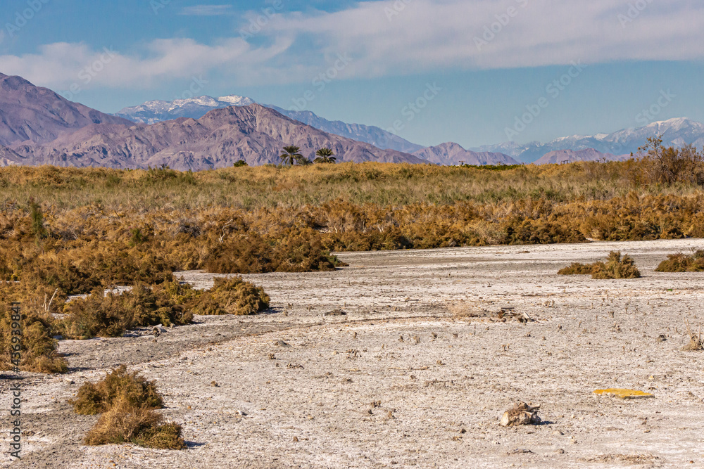 USA, CA, Salton Sea - December 28, 2012: Brown shrub behind gray-white dry marsh land with snow topped mountain range on horizon under blue sky. USA, CA, Salton Sea - December 28, 2012: Brown shrub behind gray-white dry marsh land with snow topped mountain range on horizon under blue sky.