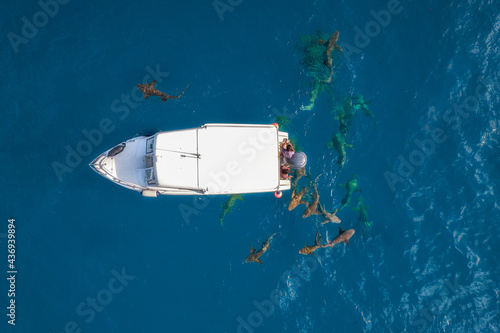 Aerial view of sharks swimming around a motorboat in open water near Vaavu Atoll, Dhiggiri, Felidhu, Maldives. photo