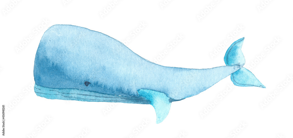 Watercolor blue Whale. Hand drawn illustration of big underwater mammal Animal. Isolated object on white background. Marine and ocean fauna - obrazy, fototapety, plakaty 