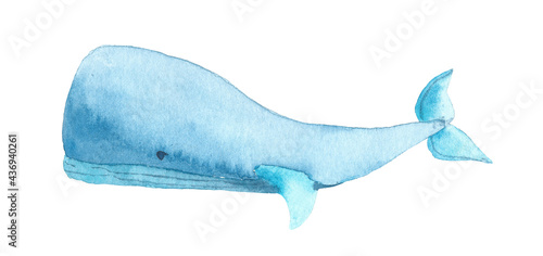 Watercolor blue Whale. Hand drawn illustration of big underwater mammal Animal. Isolated object on white background. Marine and ocean fauna