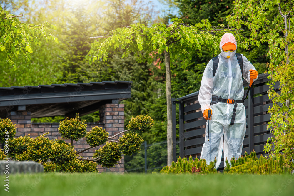 Gardener Working in Protection Suite Spraying Plants Gardener Working in Protection Suite Spraying Plants