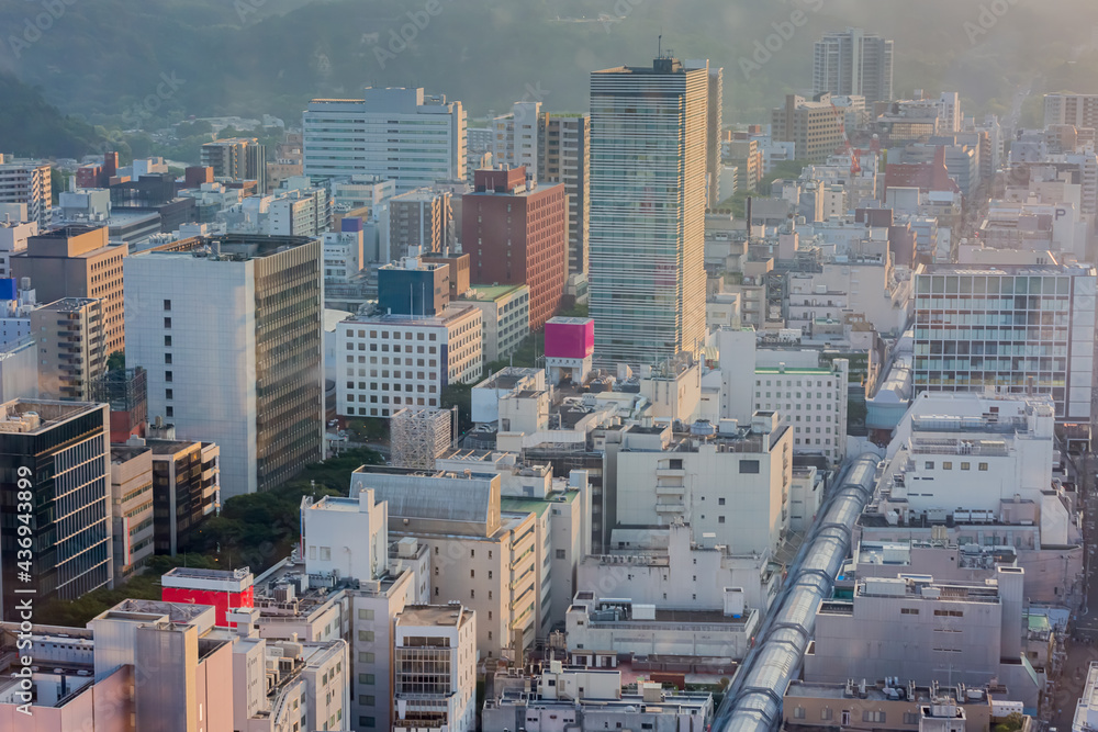 Fototapeta premium 仙台の町並み 