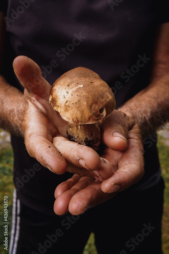 person holding mushrooms