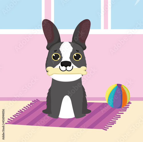 little puppy with ball