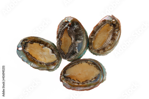 Abalone shellfish on a white background