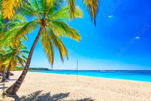 Tropical white sandy beach with palm trees. Saona Island  Dominican Republic. Vacation travel background.