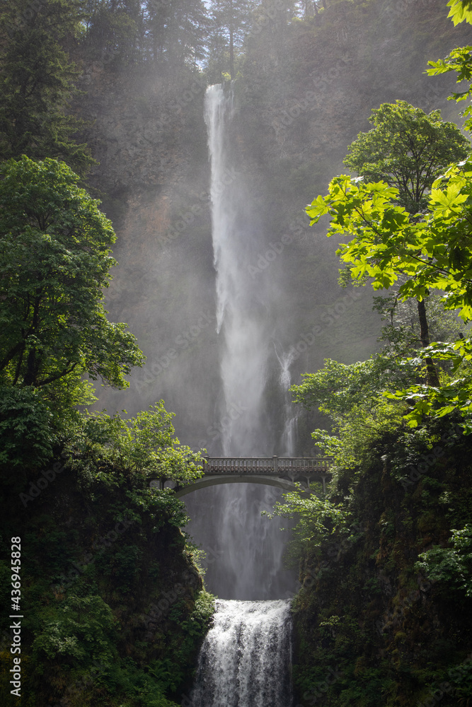 Fototapeta premium waterfall